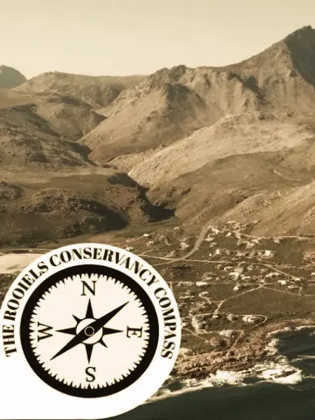 Compass Newsletter