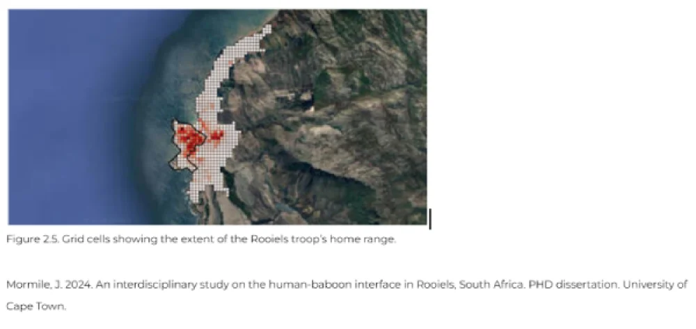 How big is the Rooiels troop’s range?