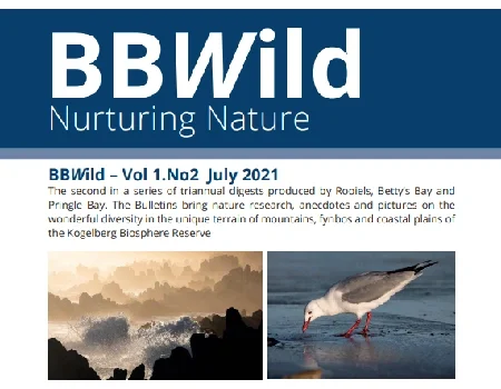 BBWild