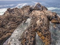 seals 4 seals 4