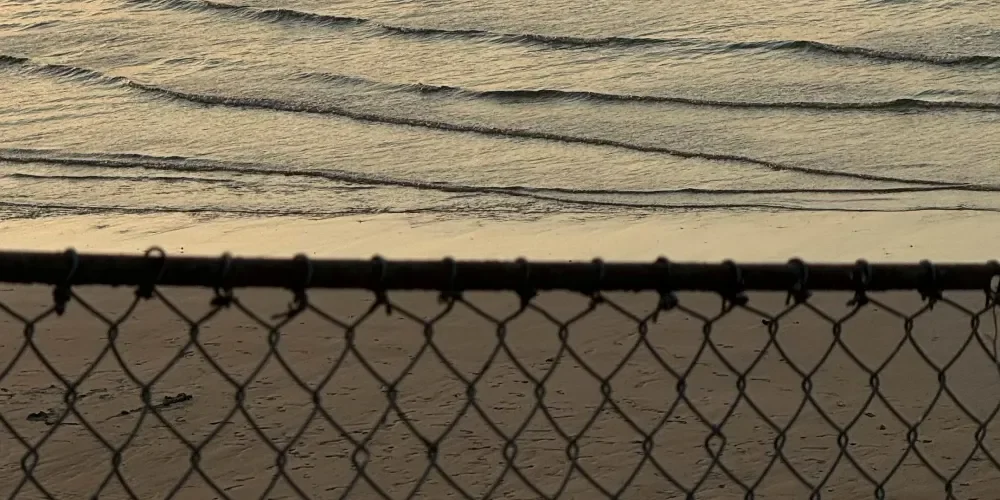 rooiels-blog-fences-banner-img