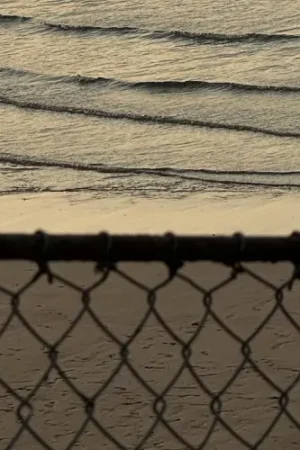 rooiels-blog-fences-banner-img