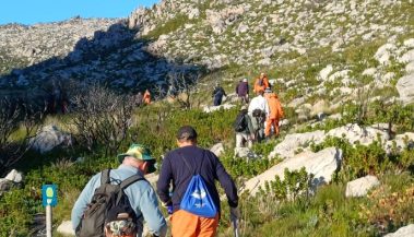 Volunteer hackers clearing Rooikrans regrowth